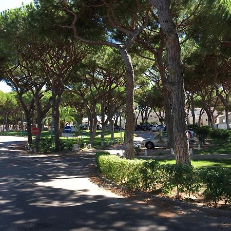 Estudio Tranquilo Praia Da Falesia Αλμπουφέιρα Εξωτερικό φωτογραφία