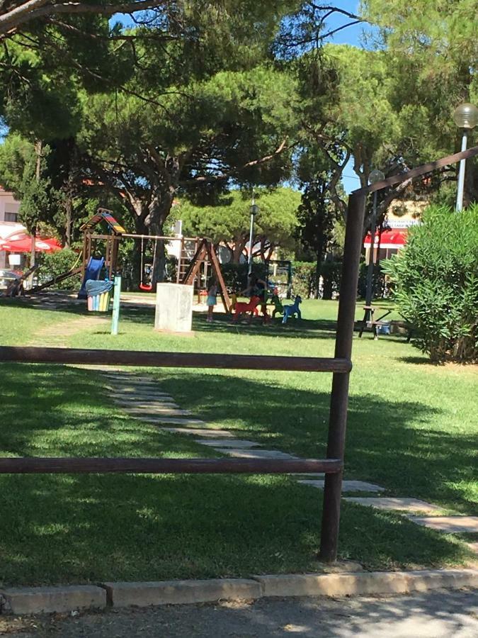 Estudio Tranquilo Praia Da Falesia Αλμπουφέιρα Εξωτερικό φωτογραφία