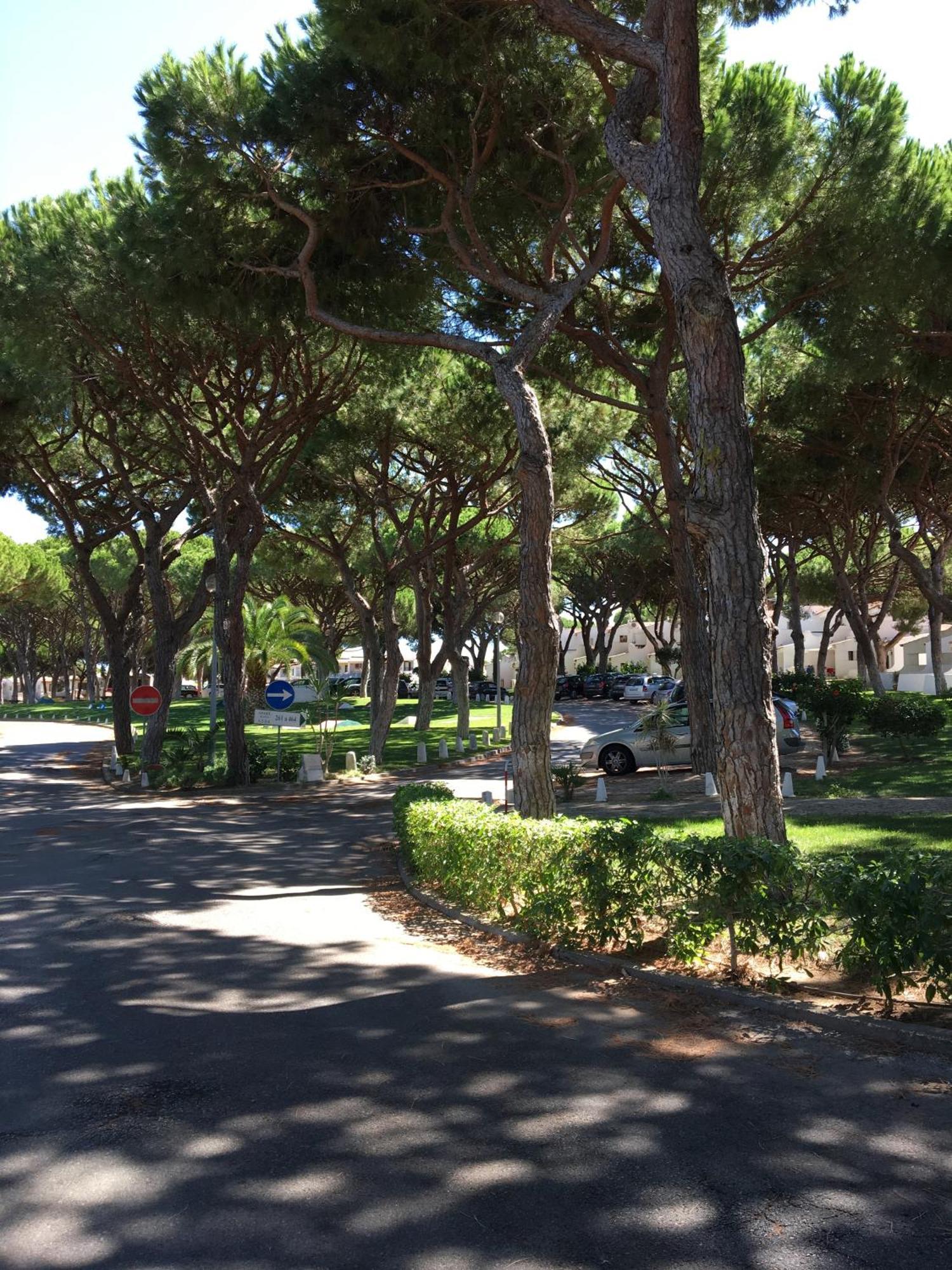 Estudio Tranquilo Praia Da Falesia Αλμπουφέιρα Εξωτερικό φωτογραφία